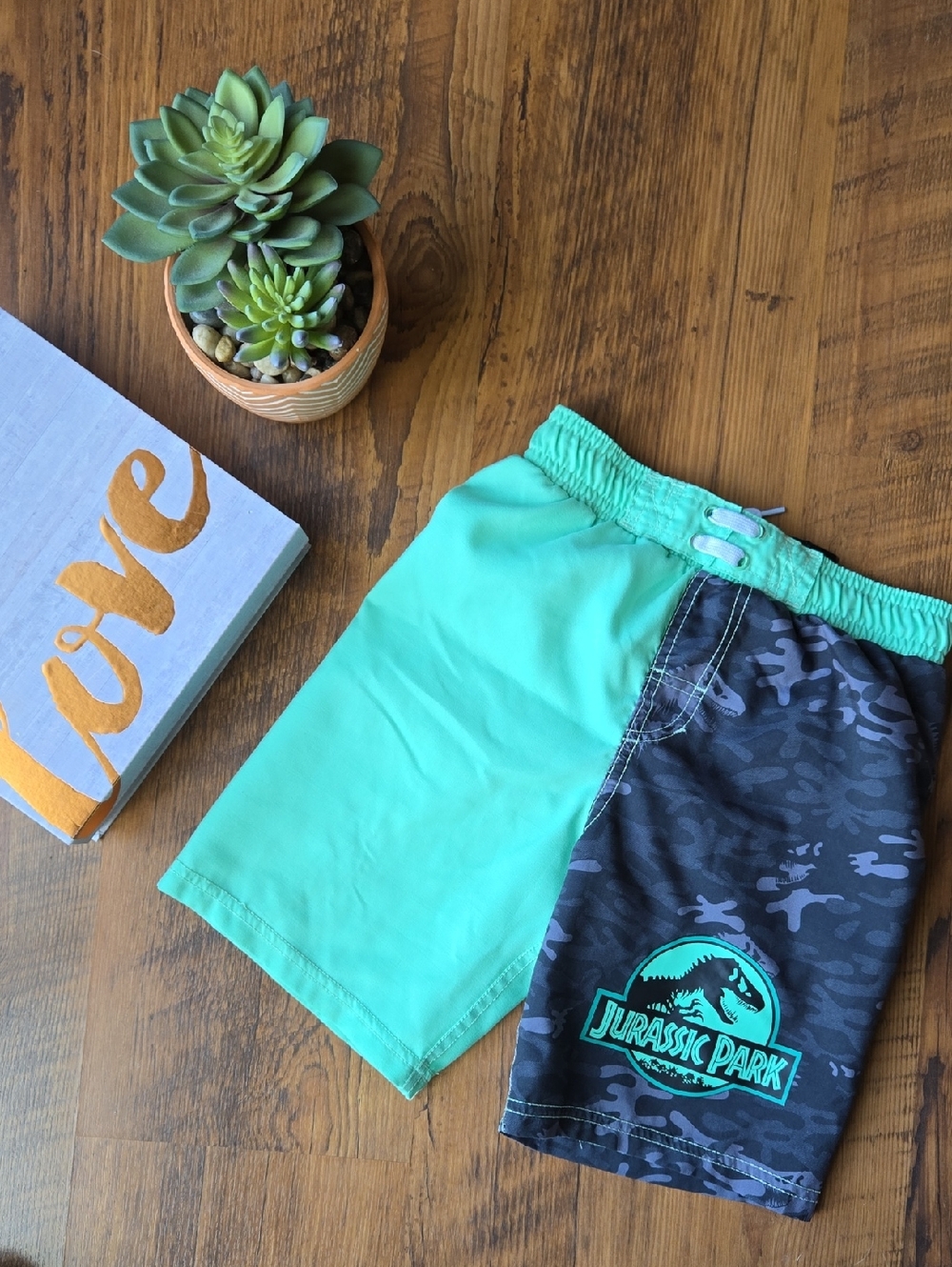 Boys Small Jurassic World Swim Trunks